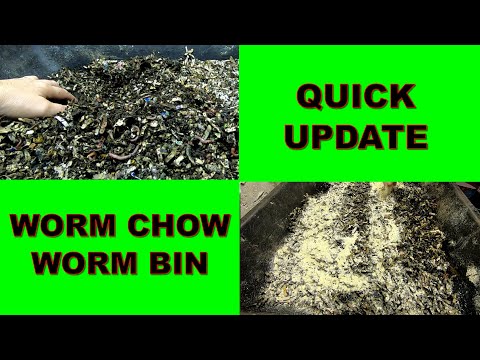 WORM CHOW ONLY BIN UPDATE
