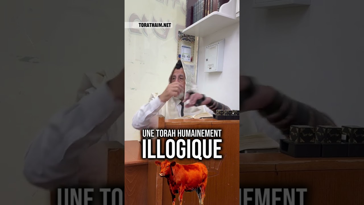 Une Torah humainement illogique  👉🏼 2 Halakhot pour etre ben olam aba