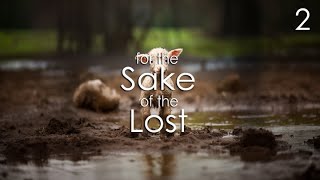 For the Sake of the Lost - 2