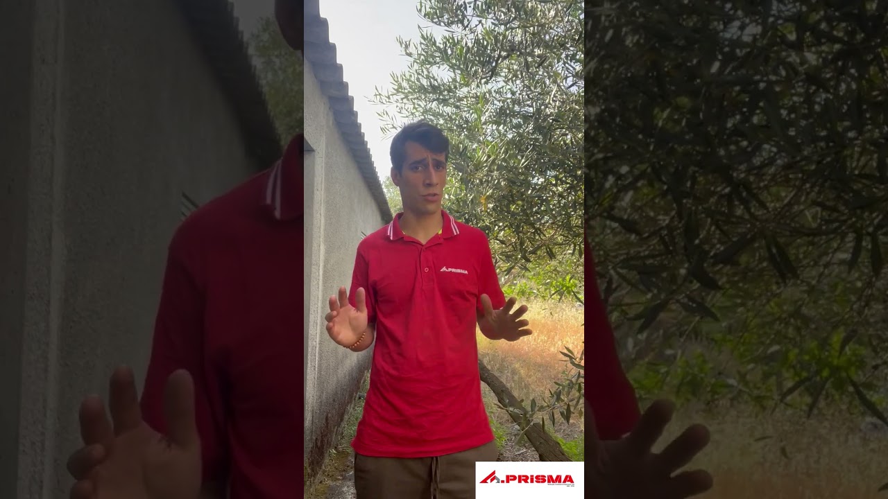 Vídeo do imóvel