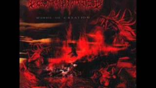 Decapitated - Blessed