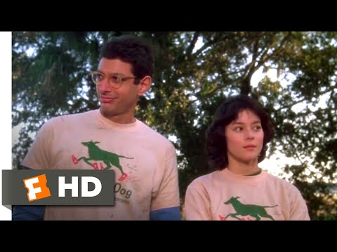 The Big Chill (1983) - The Car Jump Scene (8/10) | Movieclips
