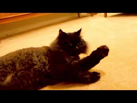 Crapshots Ep37 - The Trend