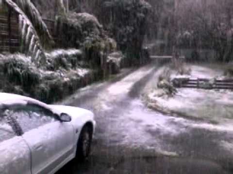 Snow in Karori