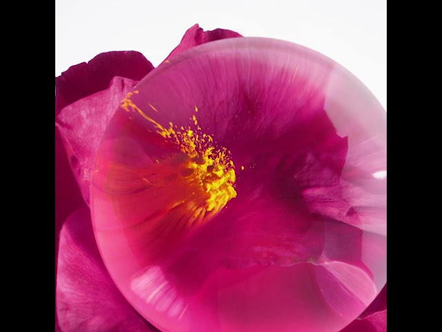 30ML Issey Miyake A Drop d'Issey Eau de Parfum Spray  4 of 4 