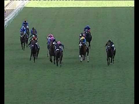 Legislate - 2014 Daily News 2000 Gr1