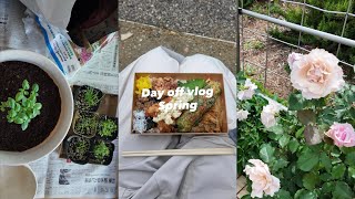 【日常Vlog】ミルクブリュー l 公園ランチlハーブ栽培