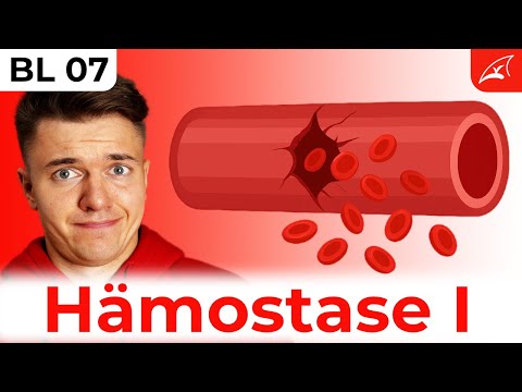 primäre Hämostase🩸 (Blutstillung) -  einfach erklärt! // Wie der Körper eine Blutung stoppt ...