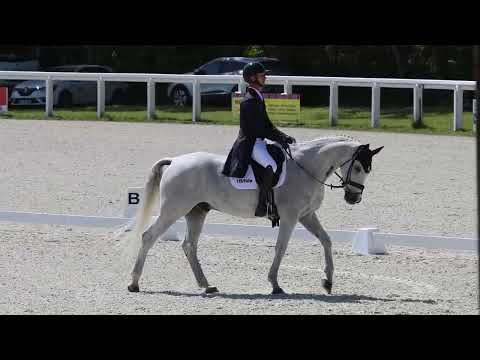Christopher Six &Totem de Brecey. Dressage. Lion d'Angers. Grand National 2023