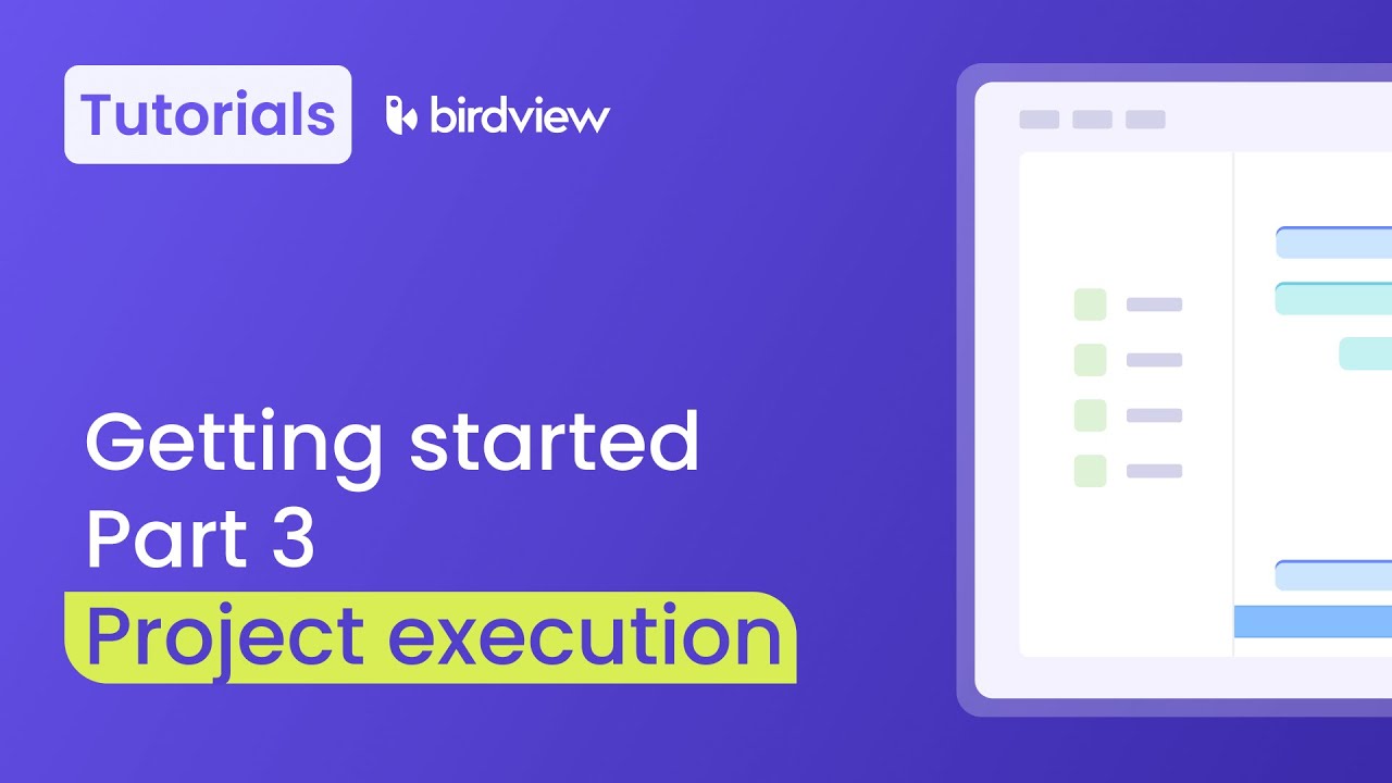 Project execution | Birdview tutorial