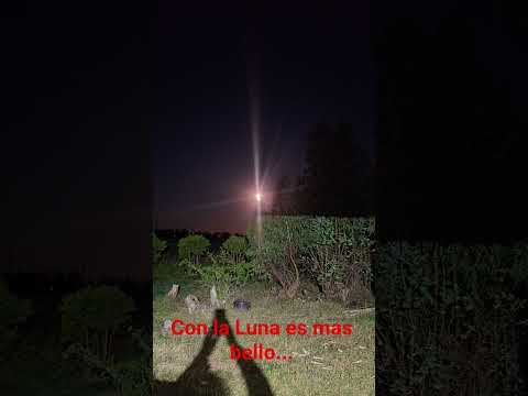 #rock #canelones#montevideo#noche#ciudad#campo#paz#airefresco