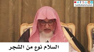 صورة السلام نوع من الشجر - صالح آل الشيخ