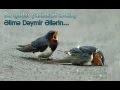 Nesimi-Nakam Sevgi (Upload by eRiQ) www.END.az ...