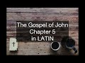 GOSPEL OF JOHN CHAPTER 5 LATIN VULGATE