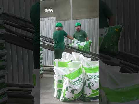 Witmarsum, uma referência em leite e gestão no Paraná | Noticiário Tortuga