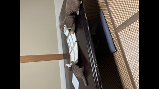 広島県呉市と江田島市にツーリングに行ってきました ２日目