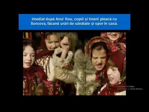 istorie clasa a IV a