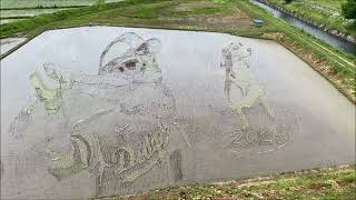 大谷翔平！田植えしようぜ！野球しようぜ！