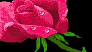 Pétalos y espinas(Los Yonic!s)