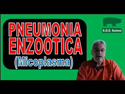, title : 'SUINOCULTURA: Pneumonia Ezootica Micoplasma'