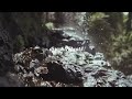 Lityananda ADK Remixes