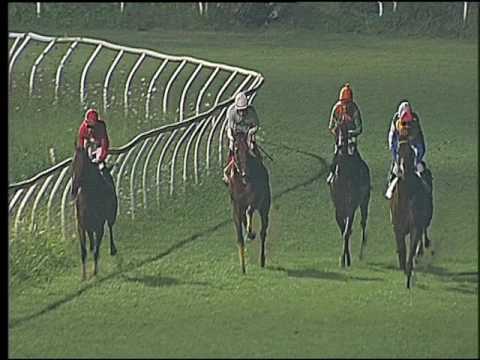 Galoppo 03/08/2016 - 5° corsa