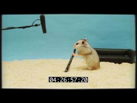 Pickles' Clever Hamster Audition