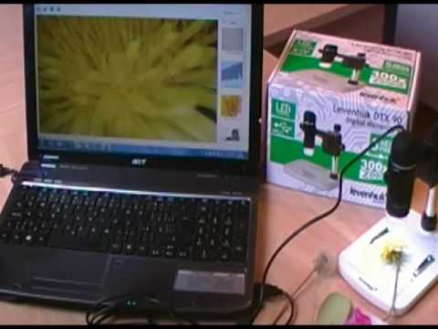 Levenhuk review: DTX 90 Digital Microscope