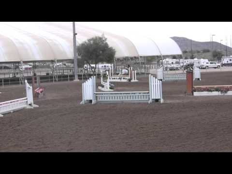 Mr. Monk- Medium Hunter Pony