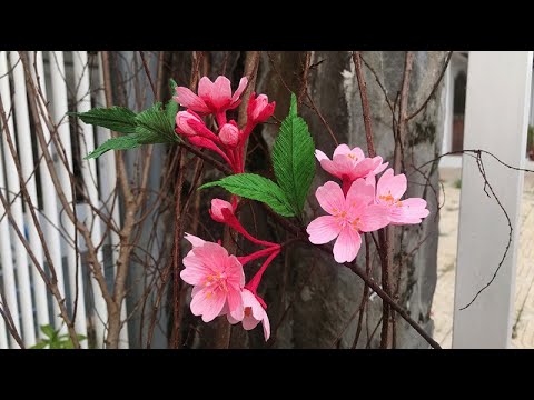 ABC TV | How To Make Cherry Blossom Flower With Crepe Paper #1 - Craft Tutorial
