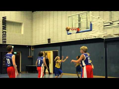 celeritas donar intro