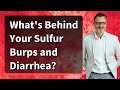 What S Behind Your Sulfur Burps And Diarrhea