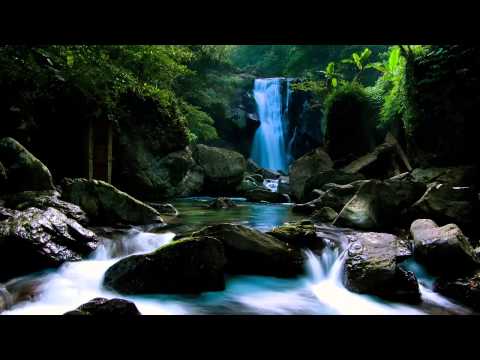 FLORIN SALAM 2014 SI NINEL DE LA BRAILA