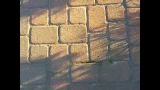 You Can Replenish the Earth