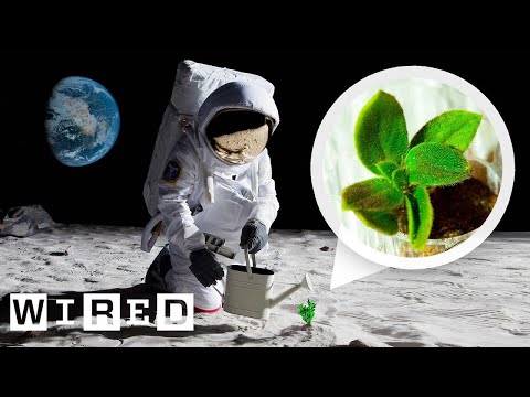 How Artemis Astronauts Plan to Grow Plants on the Moon | WIRED