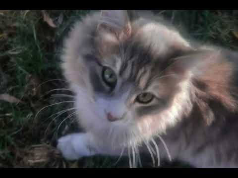 Me and your mama/speed up