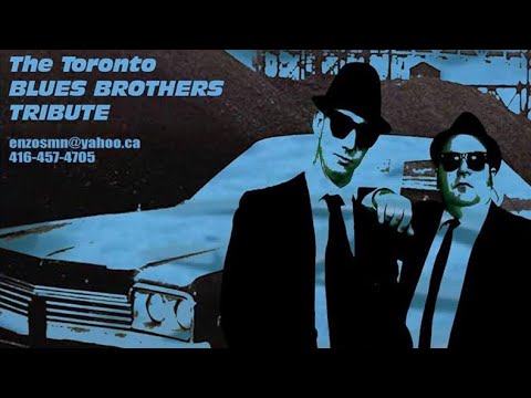 Promotional video thumbnail 15 for Pitbull Tribute • Elvis Tribute • Ultimate Party Experience