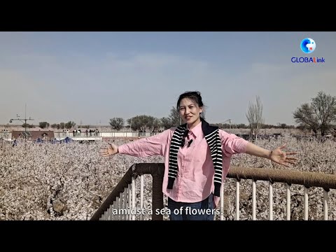 GLOBALink | Um vislumbre da primavera ao longo da ferrovia de alta velocidade de Xinjiang