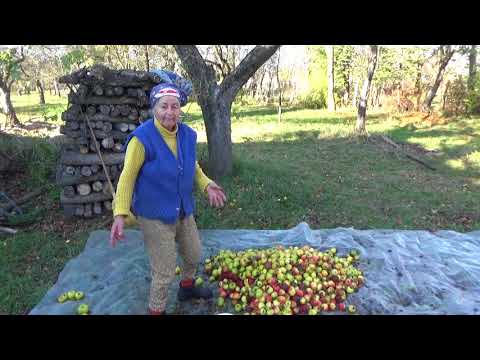 Dobolii de Jos (Aldoboly) - La țară - facem mustul (4-5 Nov 2017)