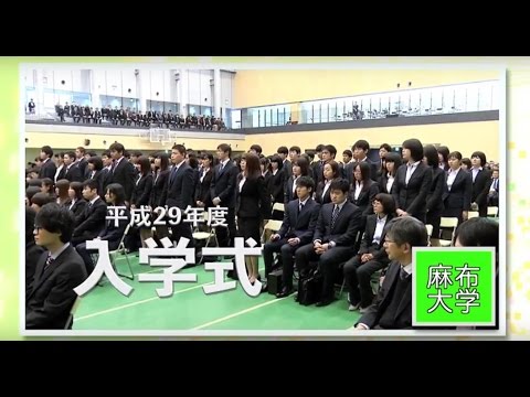 平成29年度 入学式