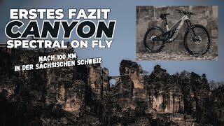 Canyon Spectral On Fly mit TQ Motor | Erstes Fazit nach 100Km in der Sächsischen Schweiz
