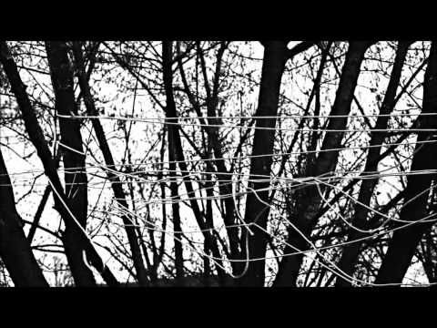 Alternative 4 - Lifeline [official music video]
