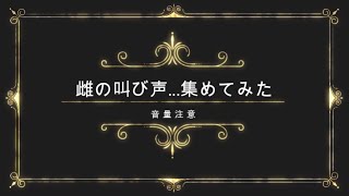 雌の叫び声寄せ集め！