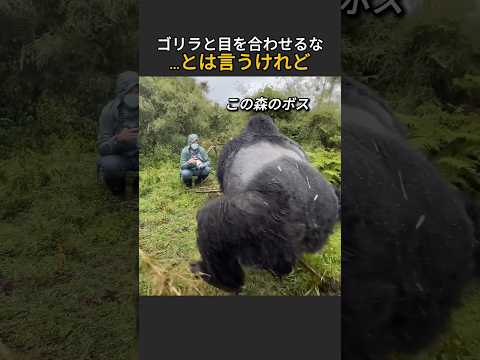 目を伏せても、無事とは限らない