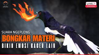 Download lagu 🔥TERAPI WAJIB🔴KACER GACOR  PANJANG FULL NGEPLONG KONSLET ~ PANCINGAN KACER BAHAN CEPAT GACOR EMOSI mp3