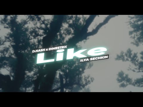 D.HASH x DIMESTRIX x ILYA SECHKIN - Like