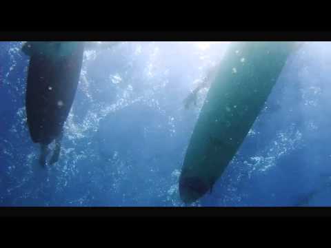 The Physics of Surfing - Trailer