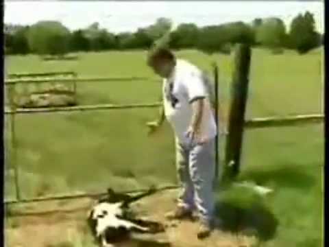 Erol Alkan & Boys Noize - Lemonade