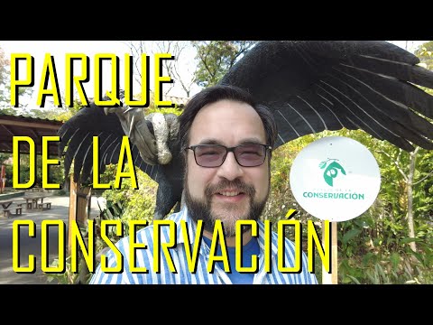 Wild Wonders of the Medellín Zoo