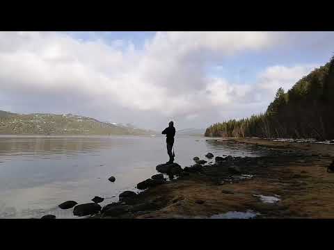Seafishing in Kolvereid, Norway